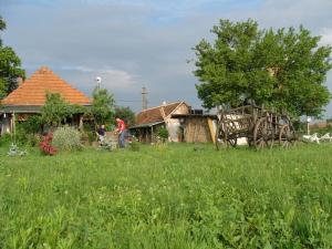 Vand Casa