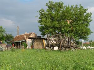 Vand Casa