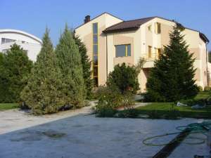 VILA LUX PIPERA