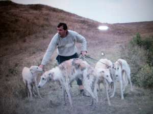 ogari barzoi puri