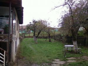 VAND CASA PROVITA,   PRAHOVA