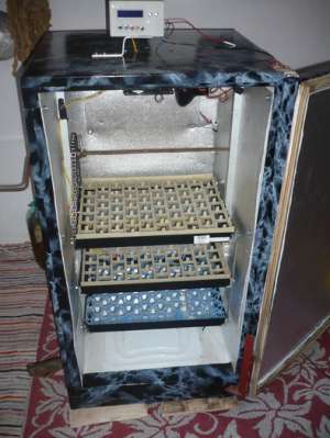 Vand incubator oua
