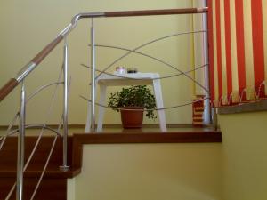 Balustrade inox cu insertie de lemn