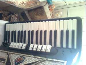 VAND ACORDEON