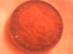 monede