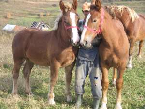 V�nd urgent 2 m�nji