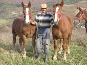 V�nd urgent 2 m�nji