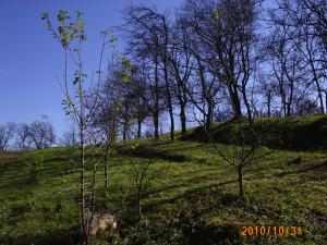teren intravilan zona de deal