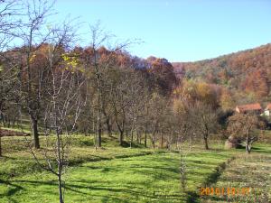teren intravilan zona de deal