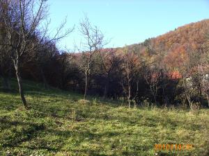 teren intravilan zona de deal