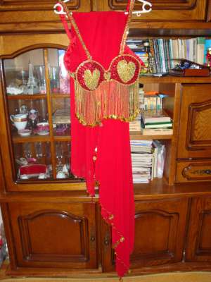 costum dansatoare