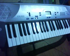 vand casio ctk 230