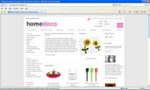Magazin decoratiuni interioare,  cadouri online,  design interior si amenajari interioare