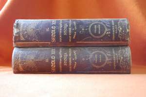 Vand IL SECOLO XIX,         DESCRITTO ED ILLUSTRATO,      Storia politiche e coltura 1901