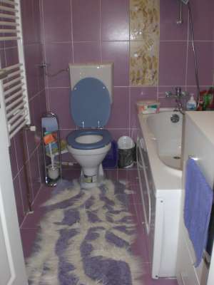 vand apt 2 camere la mansarda,  de lux