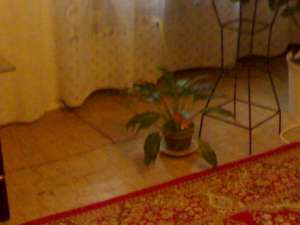 Ofer spre inchiriere apartament cu 3 camere, 