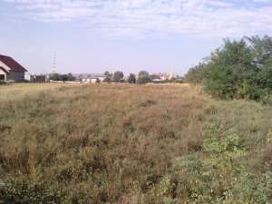 VANZARE