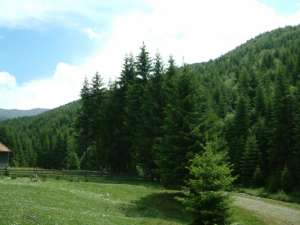 zona montana