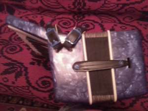 Acordion Timis