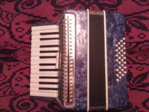 Acordion Timis