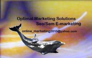 SEO SEM optimizari saituri