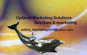 SEO SEO Optimizare