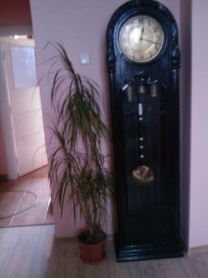 Vand ceas pendula de podea