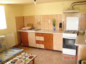 2 imobile ,    130 mp locuibili,    1000 mp curte si gradina