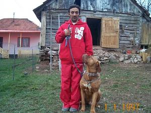 Dresaj canin Proberger k9