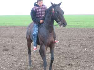 vand