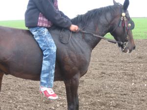 vand