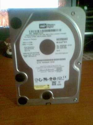 HDD-WD-320GB