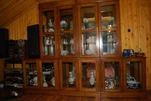 Vand vitrina de colectie