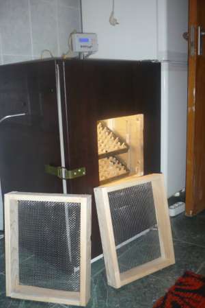 incubatoare oua