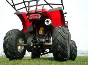ATV 110 ccm GRIZLY automatic cu marsalier, alarma si telecomanda.  LIVRARE GRATUITA !