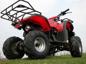 ATV 110 ccm GRIZLY automatic cu marsalier, alarma si telecomanda.  LIVRARE GRATUITA !