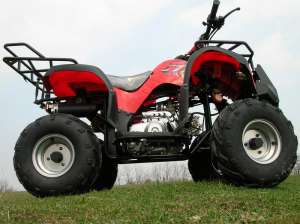 ATV 110 ccm GRIZLY automatic cu marsalier, alarma si telecomanda.  LIVRARE GRATUITA !