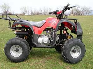 ATV 110 ccm GRIZLY automatic cu marsalier, alarma si telecomanda.  LIVRARE GRATUITA !