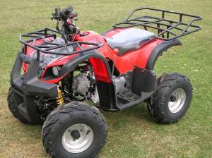 ATV 110 ccm GRIZLY automatic cu marsalier, alarma si telecomanda.  LIVRARE GRATUITA !