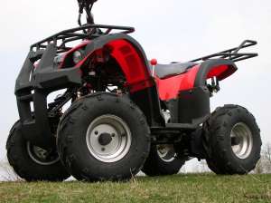 ATV 110 ccm GRIZLY automatic cu marsalier, alarma si telecomanda.  LIVRARE GRATUITA !