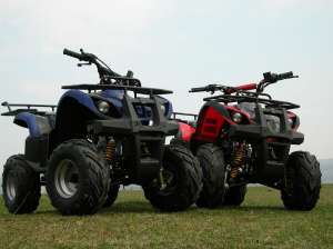 ATV 110 ccm GRIZLY automatic cu marsalier, alarma si telecomanda.  LIVRARE GRATUITA !