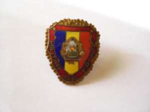 vand insigne