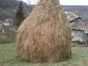 Vand fan