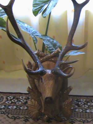 vand cap de cerb sculptat cu coarne originale.