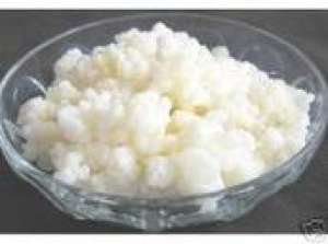 ciuperca de kefir