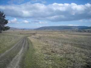teren zona brasov