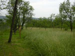 vand teren in breaza 750mp