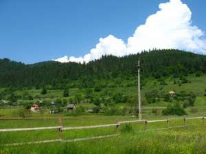 VAND TEREN PT CABANA/CASA DE VACANTA IN LUNCA BRADULUI PRET FT AVANTAJOS