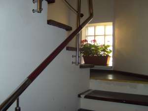 Mana curenta inox cu insertie lemn