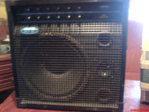 vand acordeon si amplificator